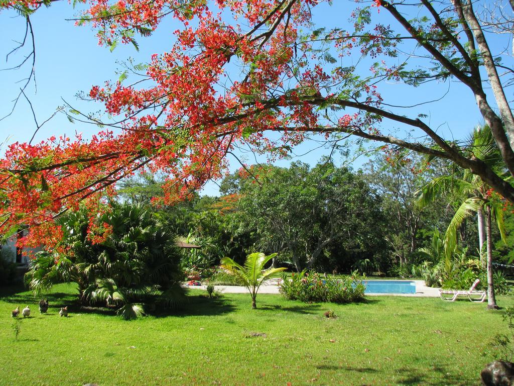 Отель Quinta Celeste La Garita  Экстерьер фото